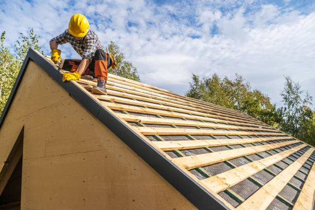 Best Metal Roofing Contractor  in Nashville, GA