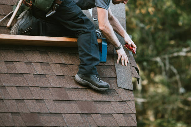 Best Roof Gutter Cleaning  in Nashville, GA